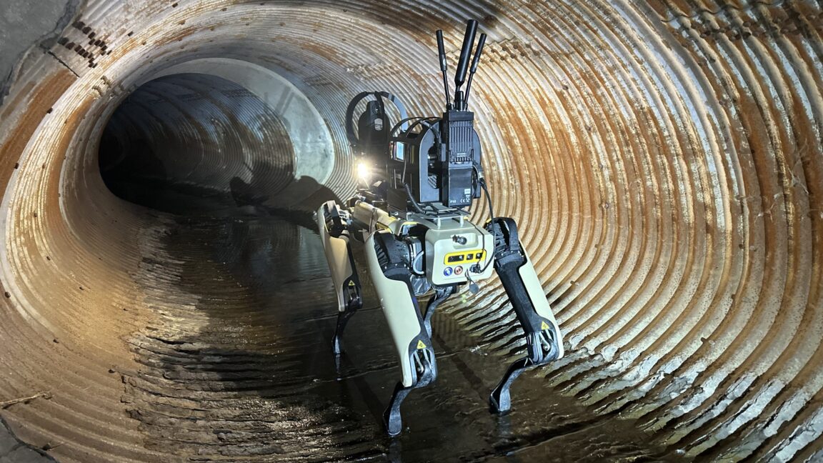 ICE Plan To Buy Robot Dogs Spurs Protest From Hundreds Of Boston Dynamics Employees